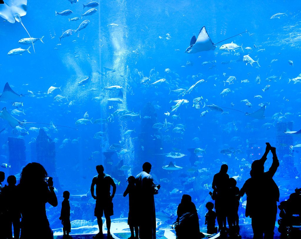 Aquarium in der Dubai Mall