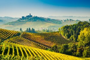 Herbstliche Weinberge bei Piemont