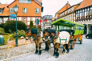 Pferdekutsche in Wernigerode